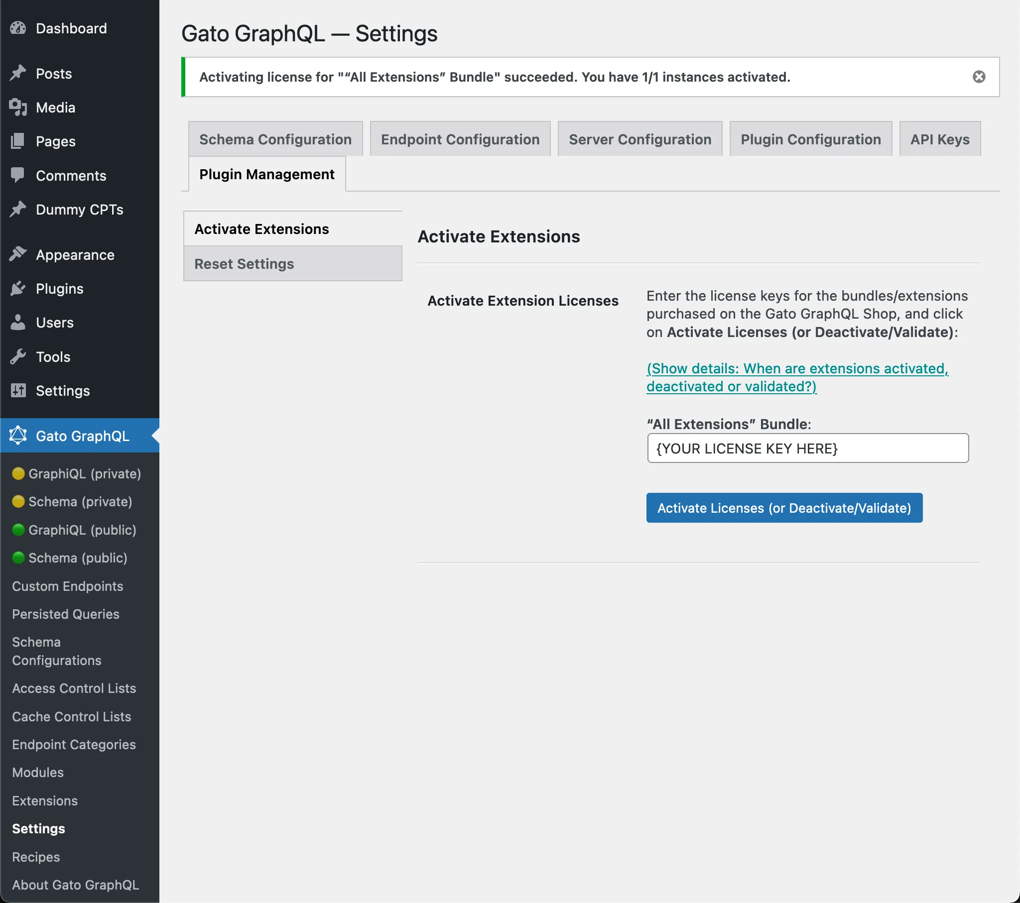Plugin attivato