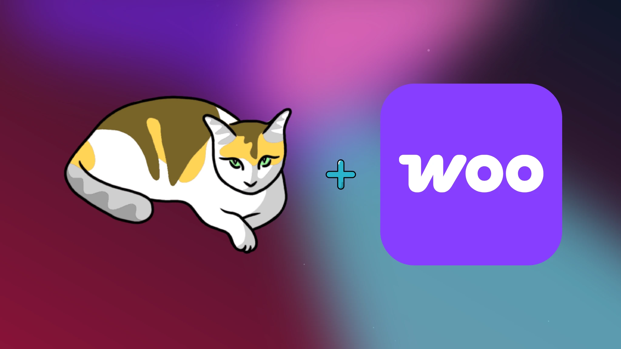 Estensione WooCommerce per Gato GraphQL