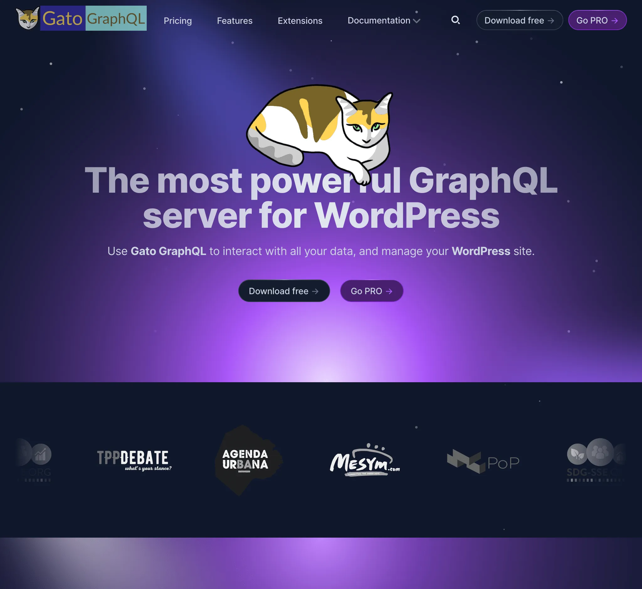 Il nuovo sito web di Gato GraphQL